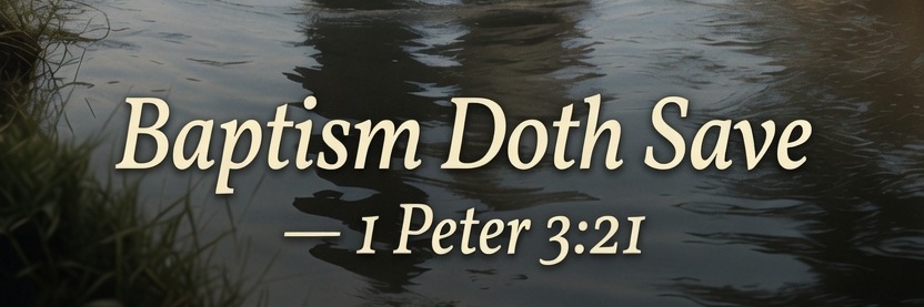 BaptismDothSave's profile banner image