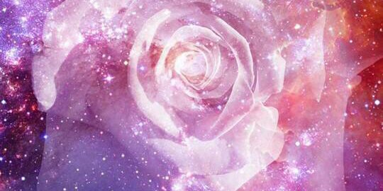 DellaAsnawi's profile banner image