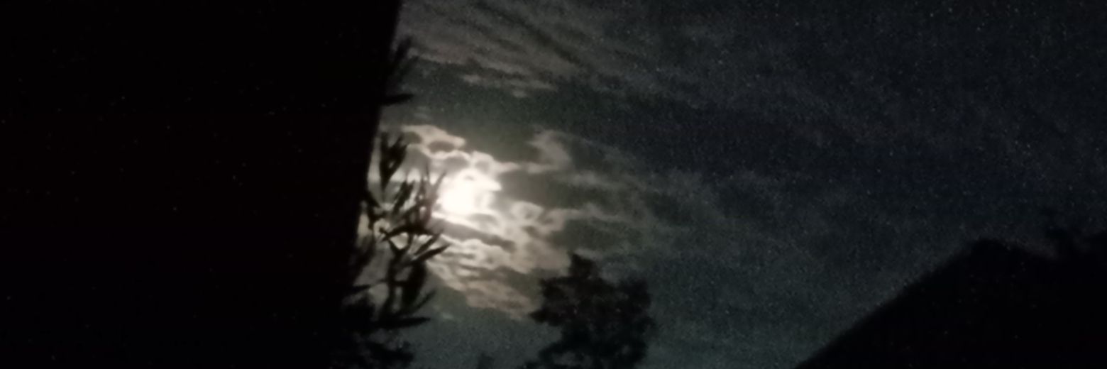 Awkward 🌙 banner