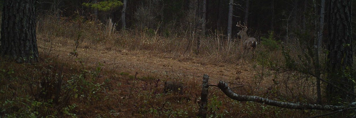 rmhermanjr's profile banner image