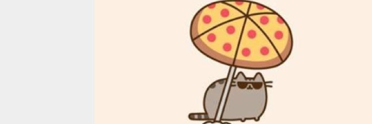 AmyKatMeow's profile banner image