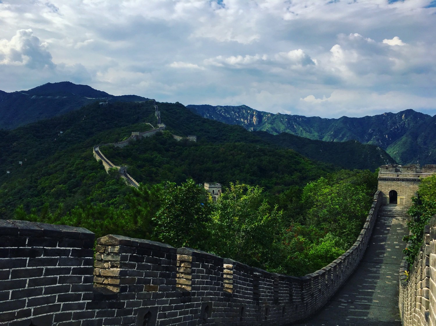 Conor Scoggin banner