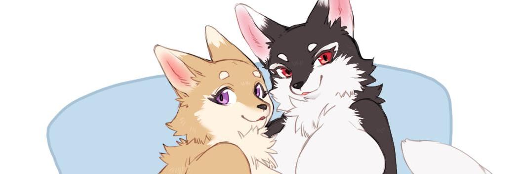 月白しのん🧪🐾🩵🩷 banner