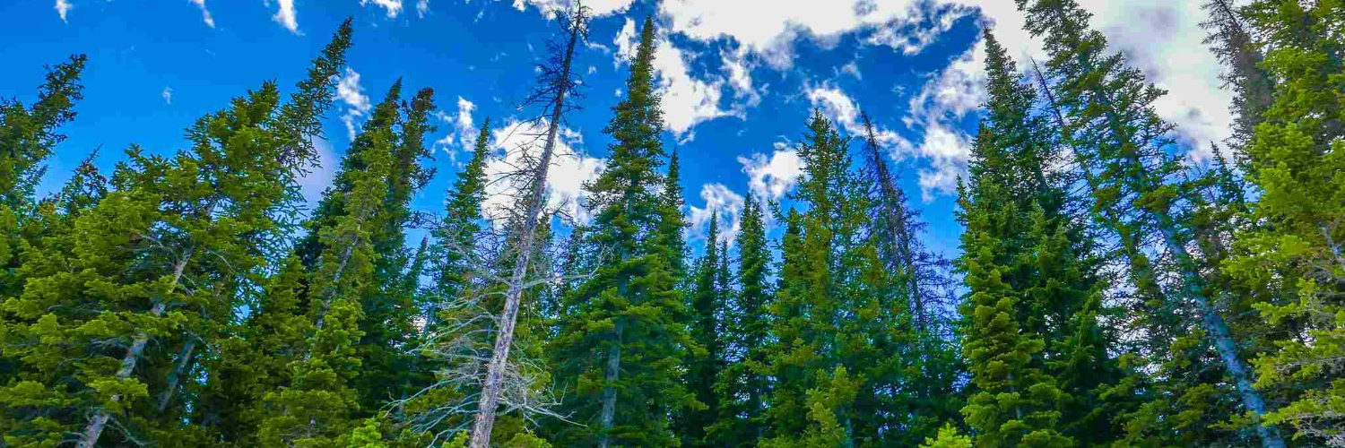 Meredith/MissMerryberry banner