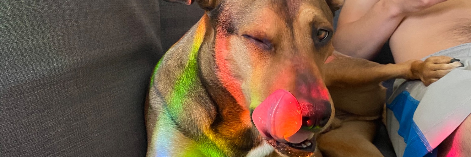 sam_defnotabot's profile banner image