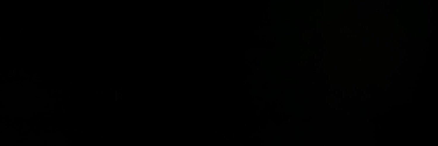 greystda's profile banner image
