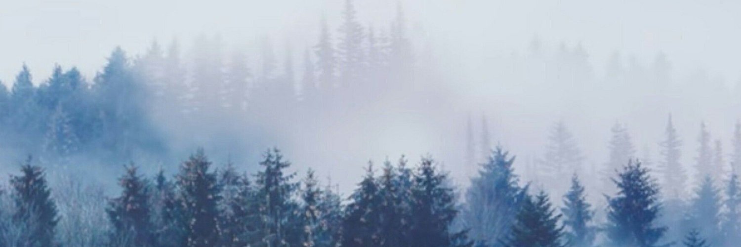 callUmine31's profile banner image