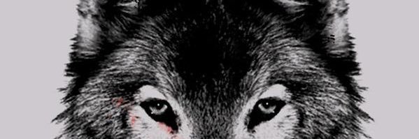 jtp7_'s profile banner image