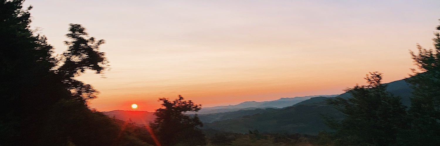 grraceless's profile banner image