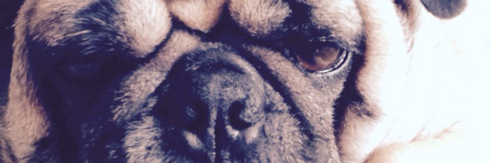 sxd_cxrn's profile banner image