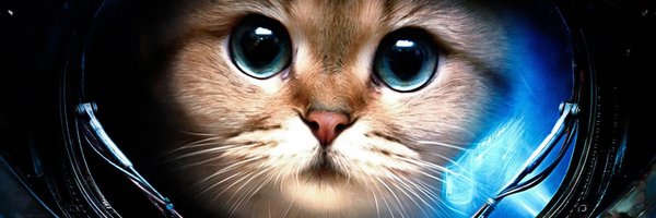 SteRoPo Profile Banner