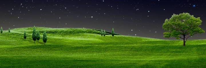 toxickaly's profile banner image