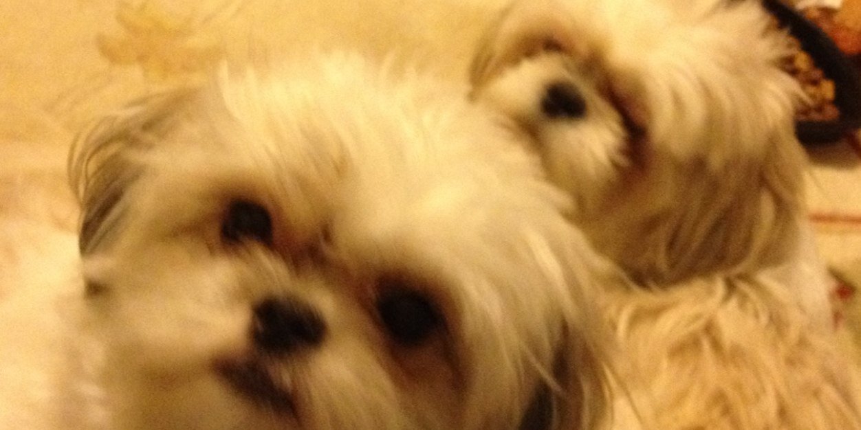 sksnky's profile banner image