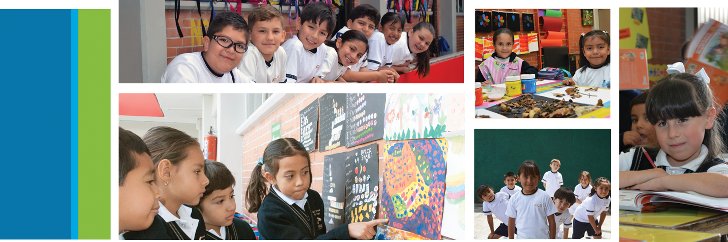 Primaria Lancaster banner