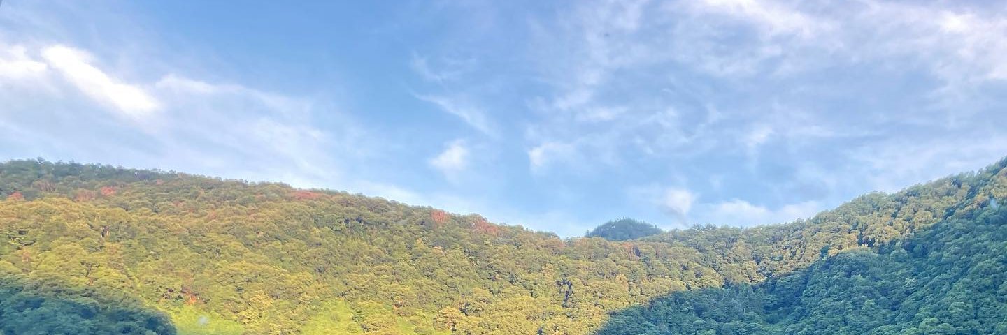 marimari / hysmrk banner