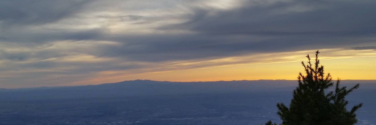 westy_gal's profile banner image