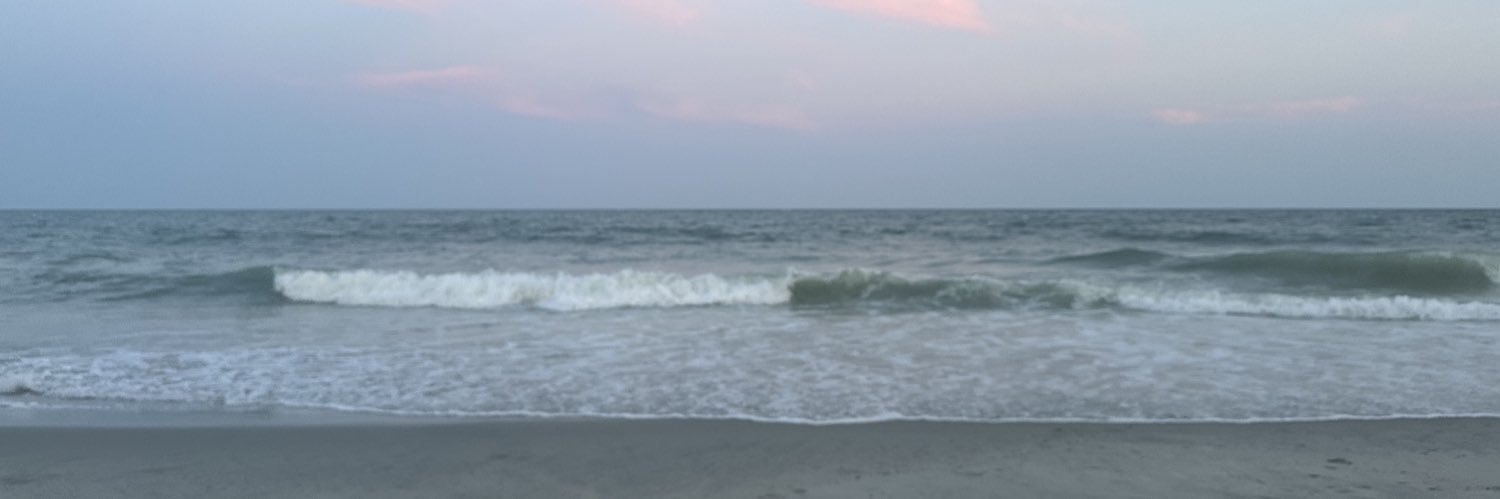 Britt banner