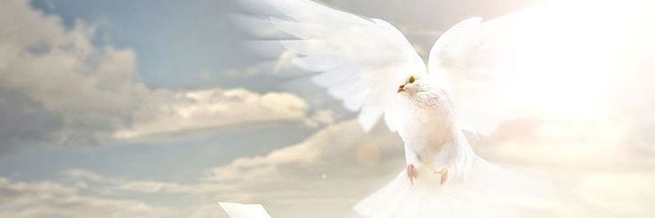 TWSMinistries's profile banner image