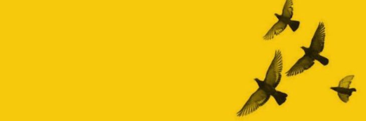 kadoo75's profile banner image
