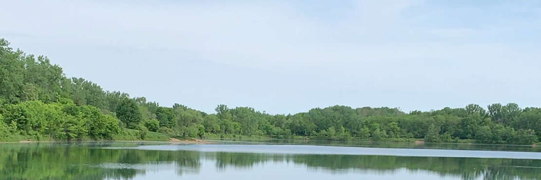 carrieschwerman's profile banner image