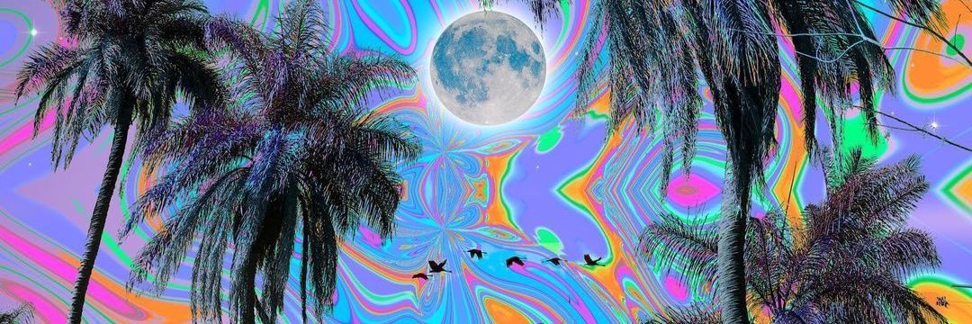 pan17u's profile banner image