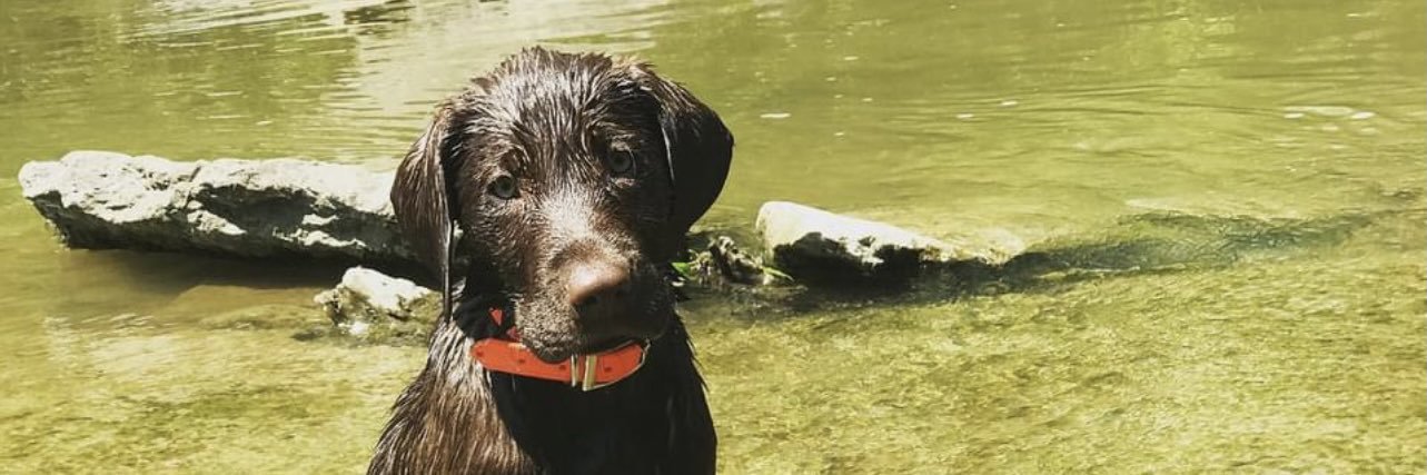 Morganderson_'s profile banner image