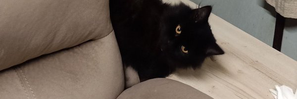 jeddacast Profile Banner