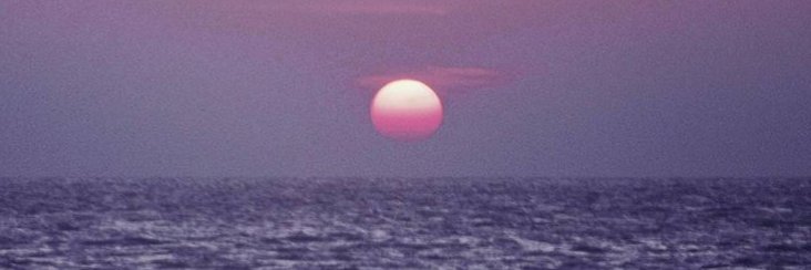 ぱんづ banner