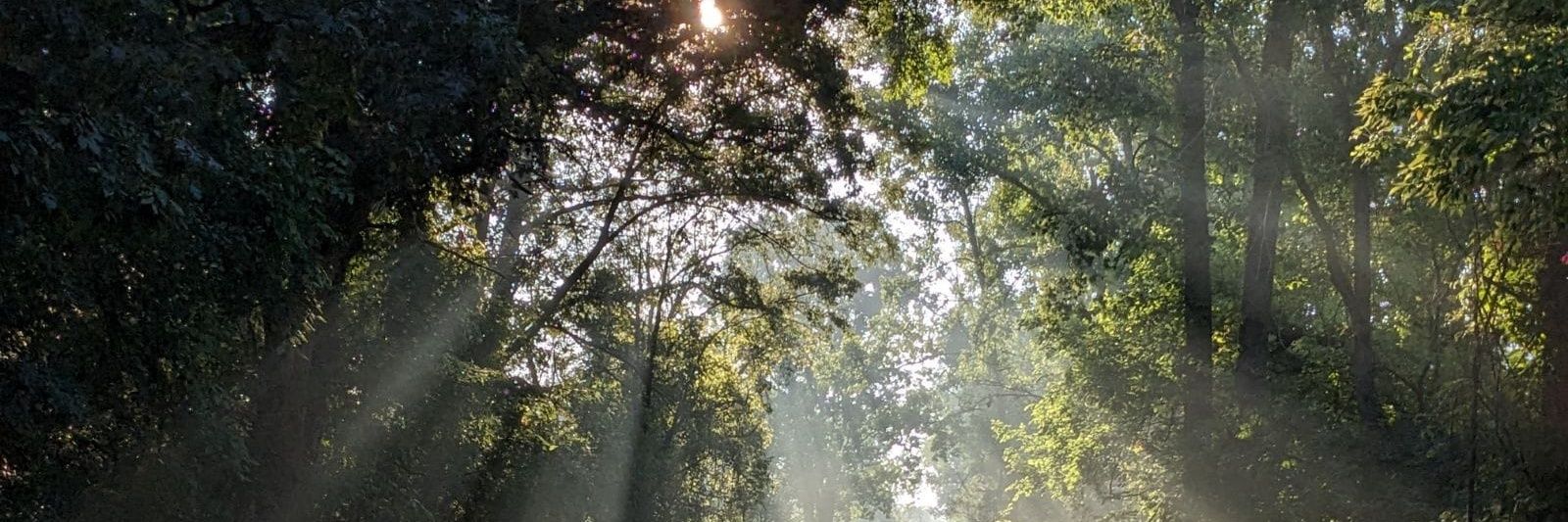 Aric '#MM25NYC in October!' Watson banner