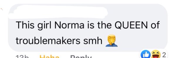 normabuster Profile Banner