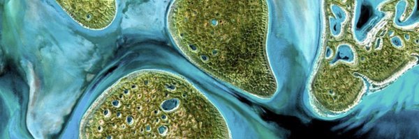 0XoSUM Profile Banner