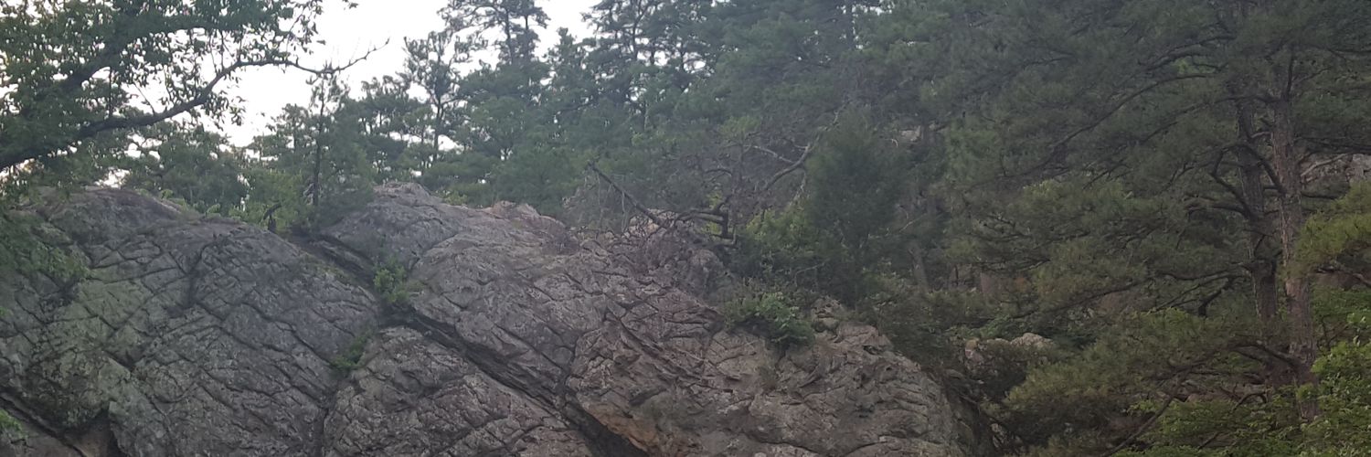 AmberLLicious's profile banner image
