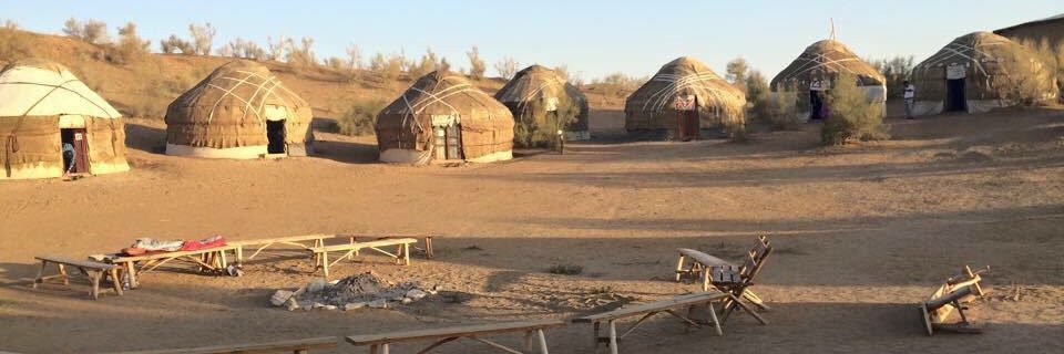 Rosanna Rafel-Rix 🦉 banner