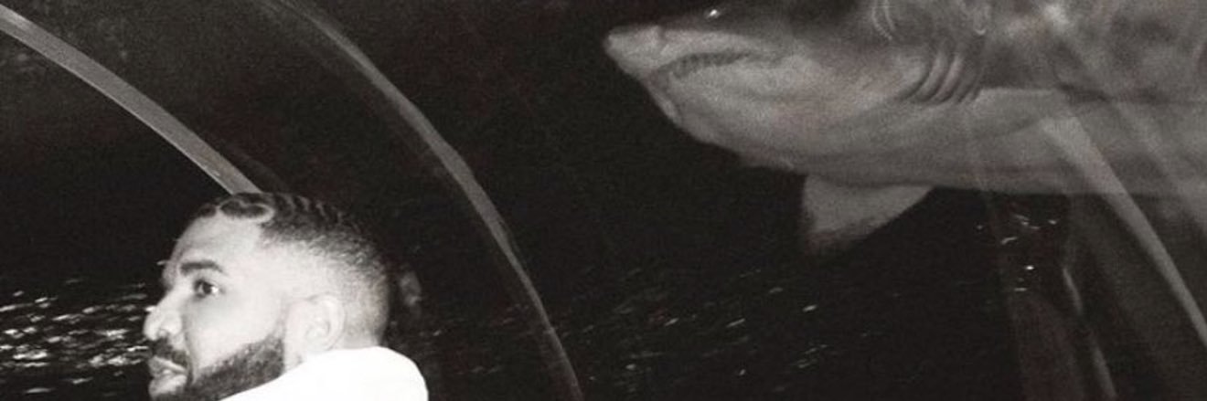 aski____'s profile banner image