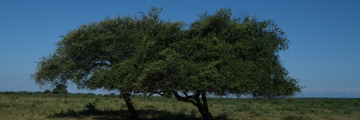 Ikewpn's profile banner image
