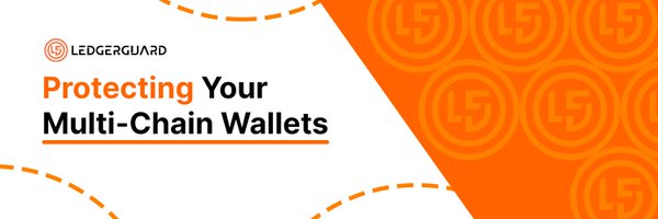 LedgerGuardTeam Profile Banner