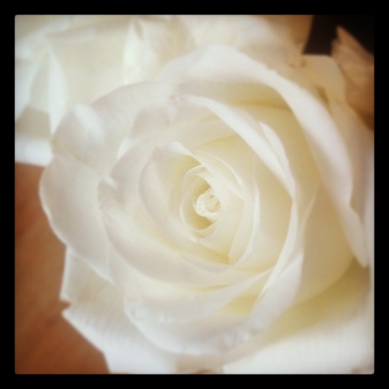 ericasroberts's profile banner image