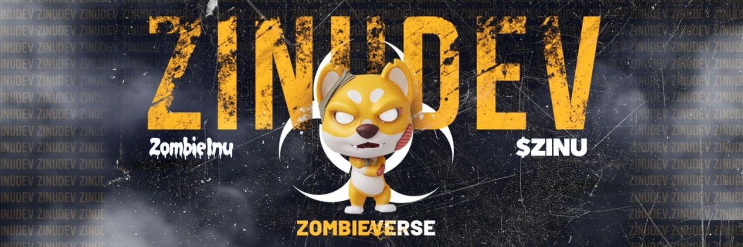 ZlNUDEV_'s profile banner image