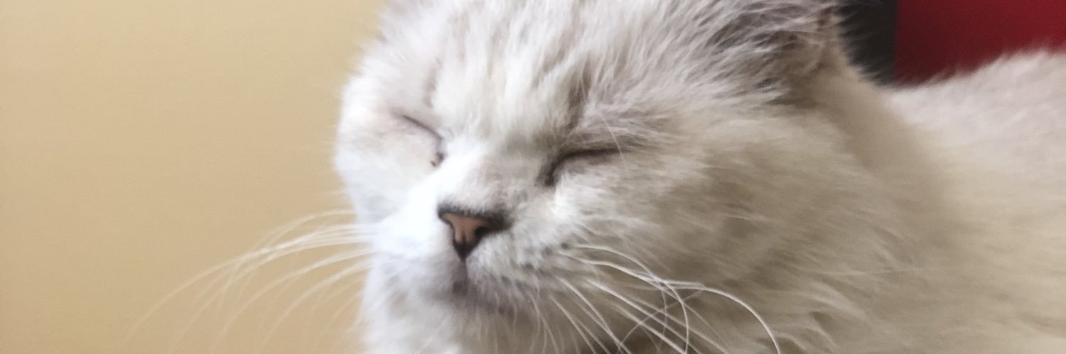 sepiahell's profile banner image