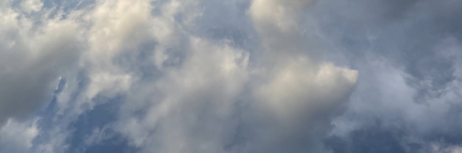 tribecalledcrew's profile banner image