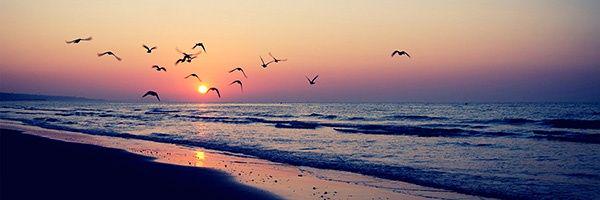 by_Muniz's profile banner image