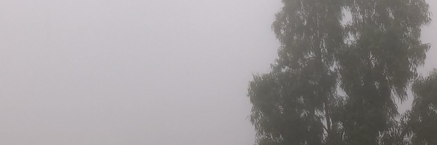 amwoaj's profile banner image