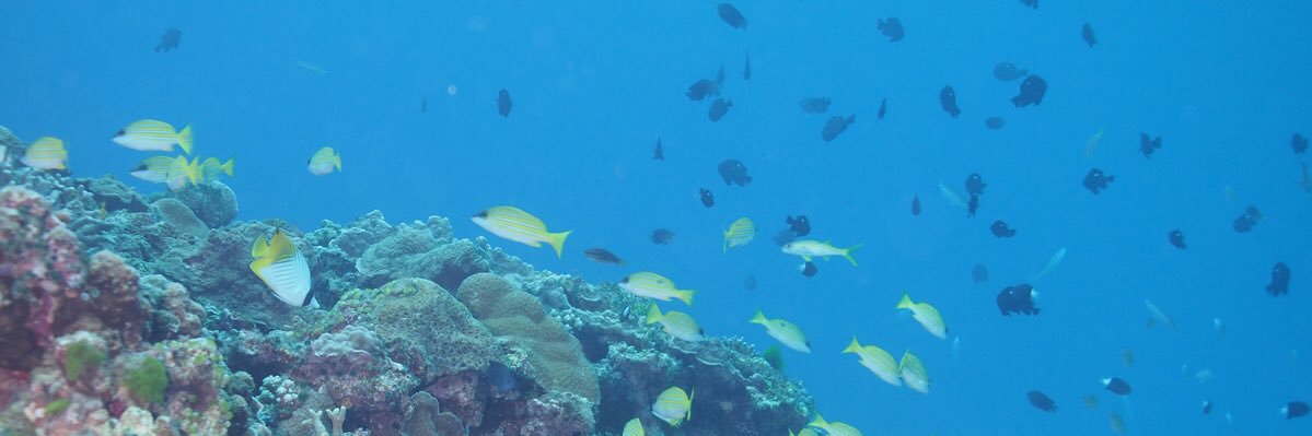 GF-CP9ASNDF(CPQAと呼んでほしい) banner