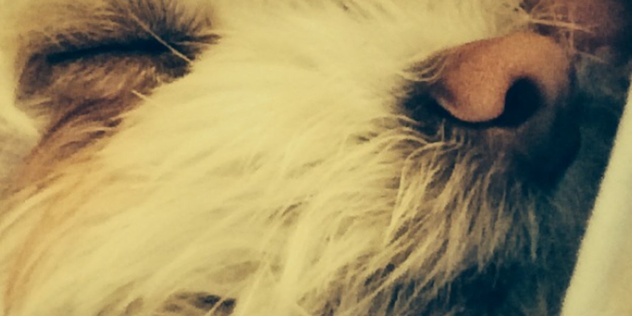 JillianReggie's profile banner image