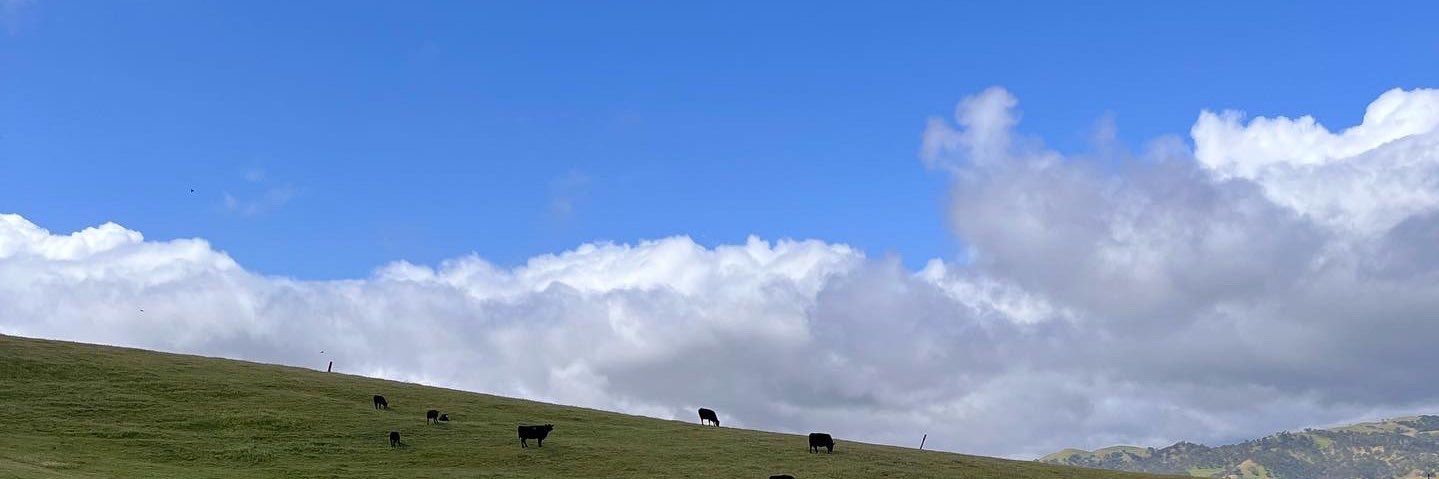 Myahbee's profile banner image