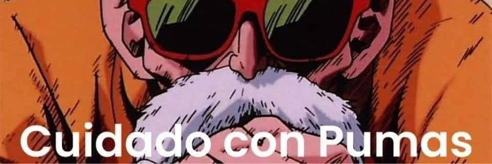 pumasunam's profile banner image