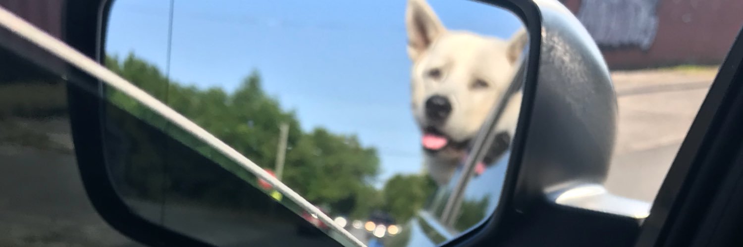 EHEasy's profile banner image