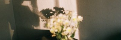 callistagraves's profile banner image