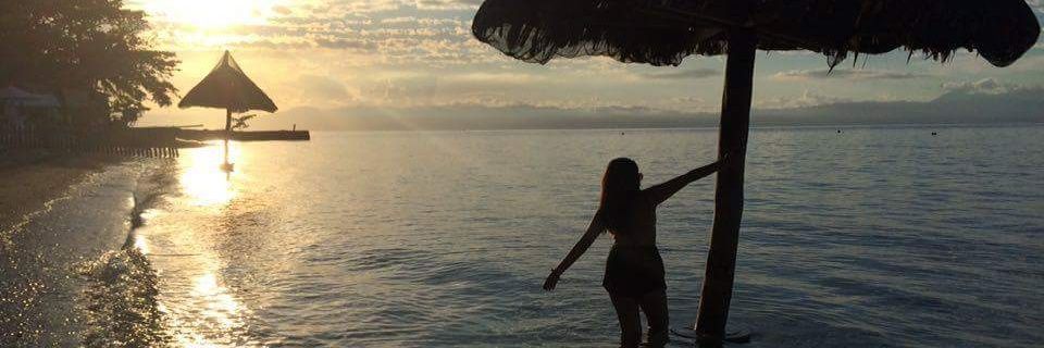 mceeeline's profile banner image