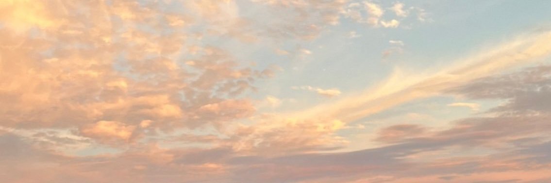 ·˚ ₊˚ˑ banner